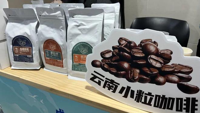 心共振兴丽江好物“空降”杨浦麻将胡了2试玩模拟器沪滇同(图4)