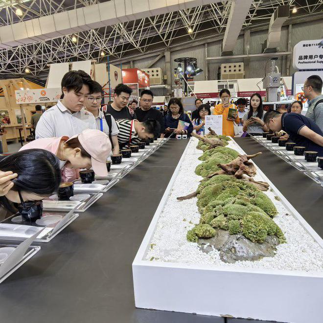 00余家参展商参展 全球60%烘焙豆来自这里PG麻将胡了2昆山国际咖啡产业博览会开幕：5(图2)