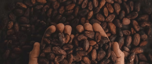 冻」东鹏2025三季度营收同比增长3036%一周热闻PG麻将胡了康师傅×疯狂动物城上新「冻冻茶冰红茶味果(图3)